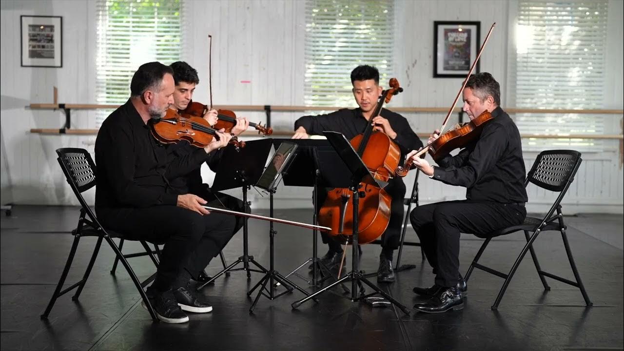 Love of My Life Olde pink string quartet